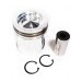 PISTON, PIN & CLIPS