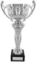 26cm Silver Cup on Silver Riser