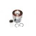 PISTON, PIN & CLIPS - 0.50MM