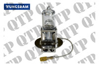 1003G_Bulb.jpg