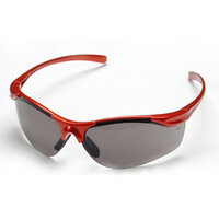 Red Frame Anti-Scratch Shaded Safety Spec