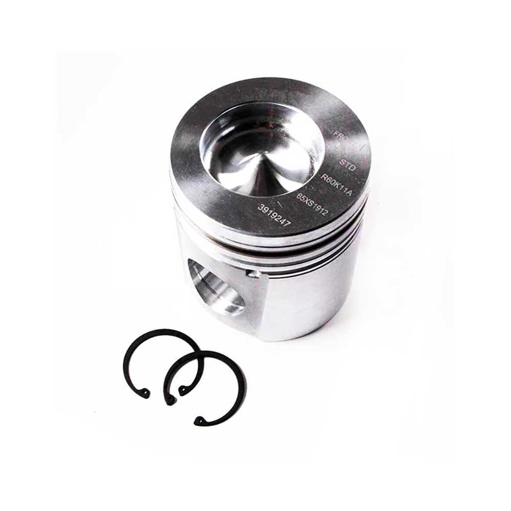PISTON BODY C/W CLIPS