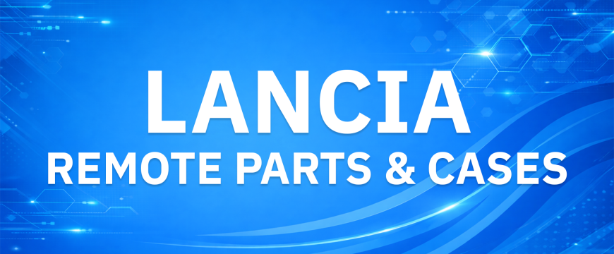 Lancia Remote Parts & Cases