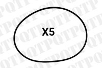 O-Ring