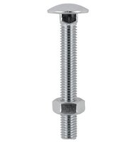 Cup Head Bolt & Nut Stainless Steel M10 X 100 Pack of 2