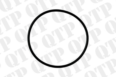 ZF 0734.313.790 - Piston O-Ring