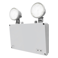 Ansell Raptor Emergency Twinspot IP65