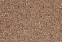 SPECTRUM TONALS 440100 4M