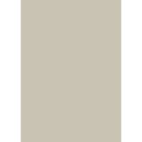 Farrow & Ball Shaded White Colour Swatch