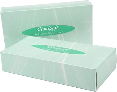 LUXURY WHITE FACIAL TISSUES 2PLY 100SHT 36PK