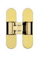 Invisacta IN300 3D Adjustable Concealed Hinge - Capacity 60 Kg - Caps Not Included Polished Gold