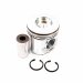 PISTON, PIN & CLIPS