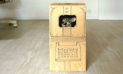 5 fun things you can craft for your cat now!