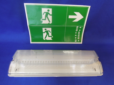 Maintained LED IP65 3W Emergency