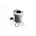 PISTON, PIN & CLIPS - STD