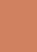 Heritage Inca Orange Colour Swatch