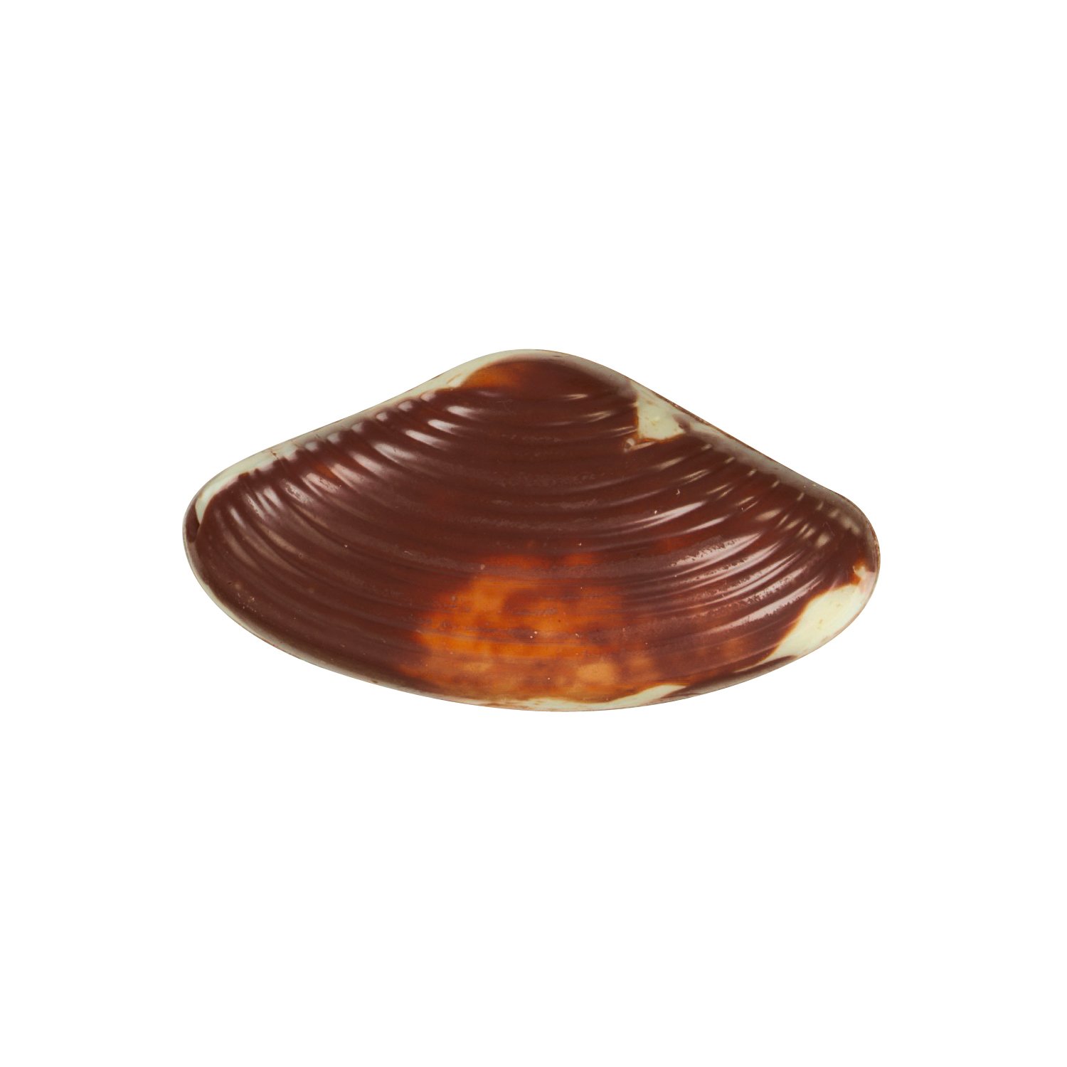 Seashells - praline filled marbled choc seashells 12.5g - 14 trays - 3.5kg
