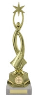 27cm Star Award on White Marble