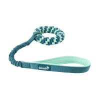 Coachi Puppy & Mini Tuggi Helix - Teal & Mint x 1