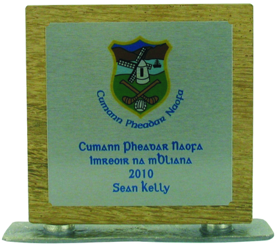 15cm Full Colour Award on Natural Wood (Inc P