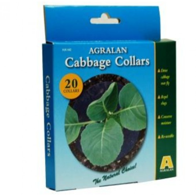 Cabbage Collars