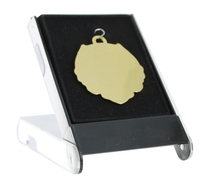 Medal Box Flat Insert