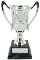 18cm Plastic Silver Cup to suit Centre on M
