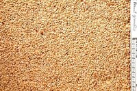 J&J Peanut Granules 12.75kg  [Zero VAT]