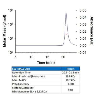 Protein, Recombinant Mouse Sonic Hedgehog/Shh (C25II) N-Terminus, 200 &micro;g