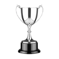 35cm Traditional Silver Cup