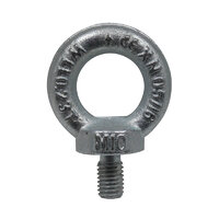 eLumen8 M10 DIN 580 Eyebolt