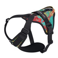 Julius-K9 IDC Longwalk Dog Harness Crazy