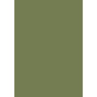 Farrow & Ball Sap Green Colour Swatch
