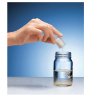 READYCULT COLIFORMS 100