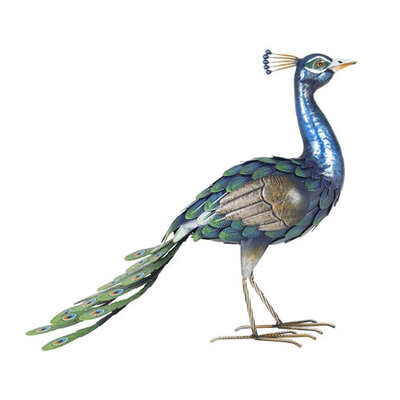 Classic Wildlife Peacock