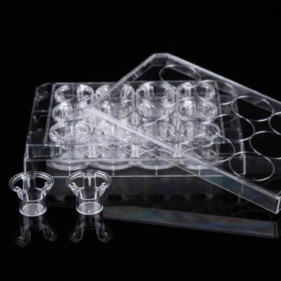 Cell Culture Inserts