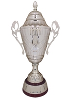 79cm Giant Cup with Lid | TTC74