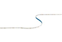 VEGAS EXPRESS 4.8W/m 12V LED striplight 3000K IP20 5m