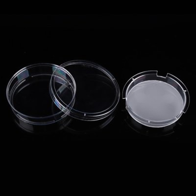 Cell Culture Inserts