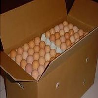 Large Eggs (Full Box)-(360)