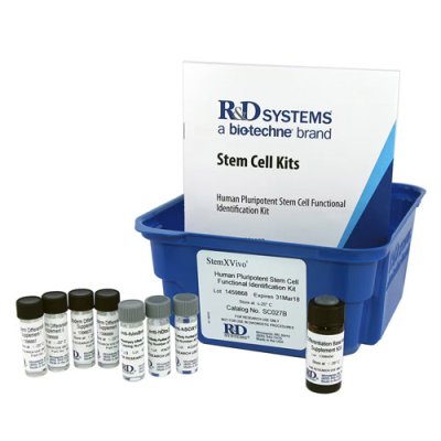 Stem Cells, Human Pluripotent Stem Cell Functional Identification Kit, 1 Kit