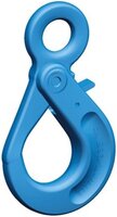 Pewag LHWP Safety Hook | Grade 12