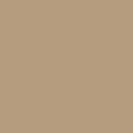 Caffe Latte - NE55