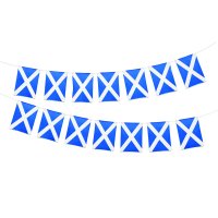 Scotland PE Flag Bunting 6m