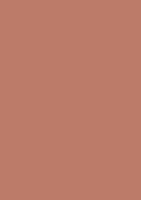 Red Earth Colour Swatch