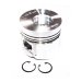 PISTON BODY C/W CLIPS