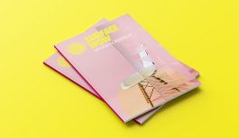 Wow Design Glass Brochure