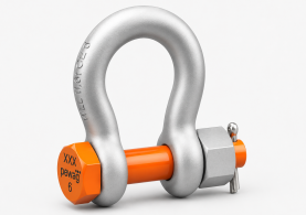 Lifting Shackles 
