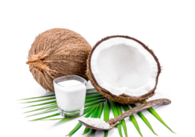 Coconut
