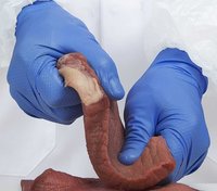 REDBACK NitriGrip XD Extra Long Nitrile Household Glove